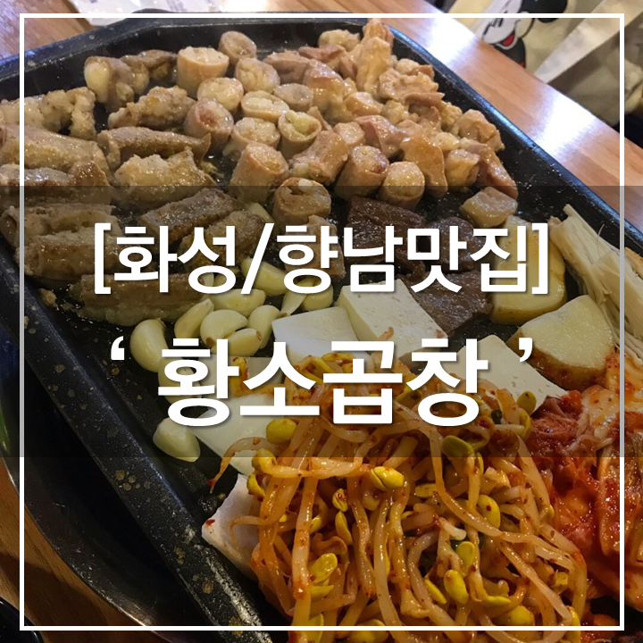 먹부림황소곱창 이미지