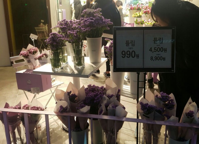 스노우폭스플라워 이미지