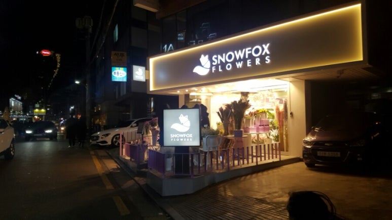 스노우폭스 이미지