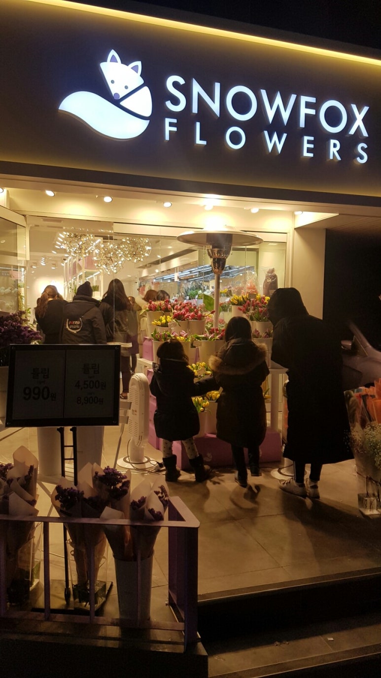 스노우폭스 이미지