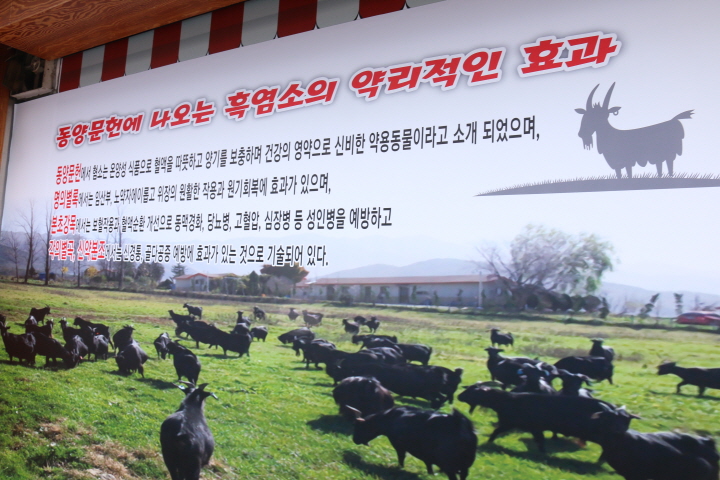 황간흑염소 이미지