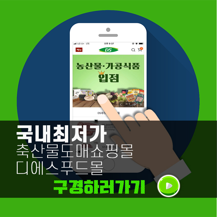 디에스유통 이미지