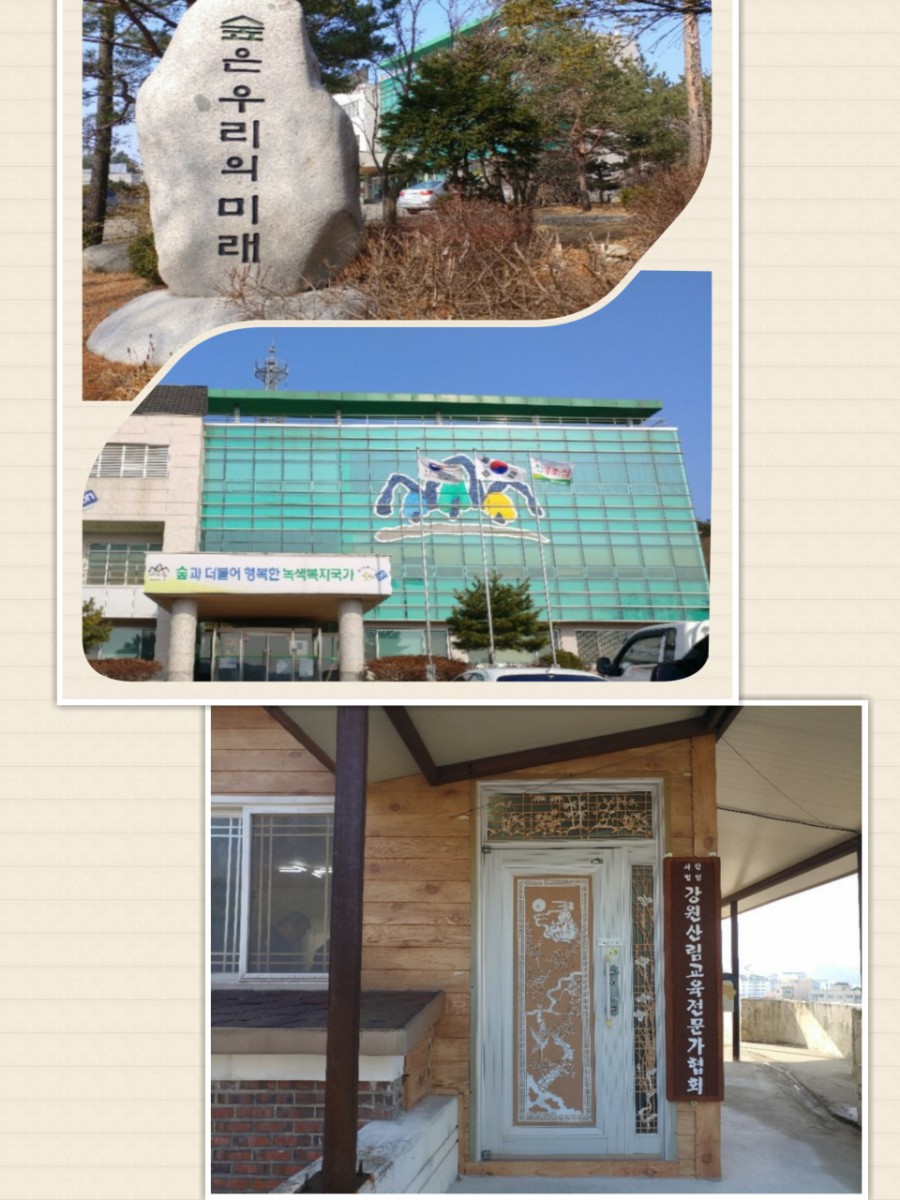 강원산림교육전문가협회 이미지