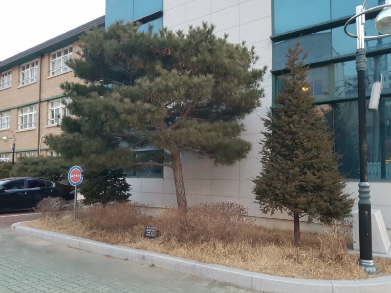 보림조경 이미지