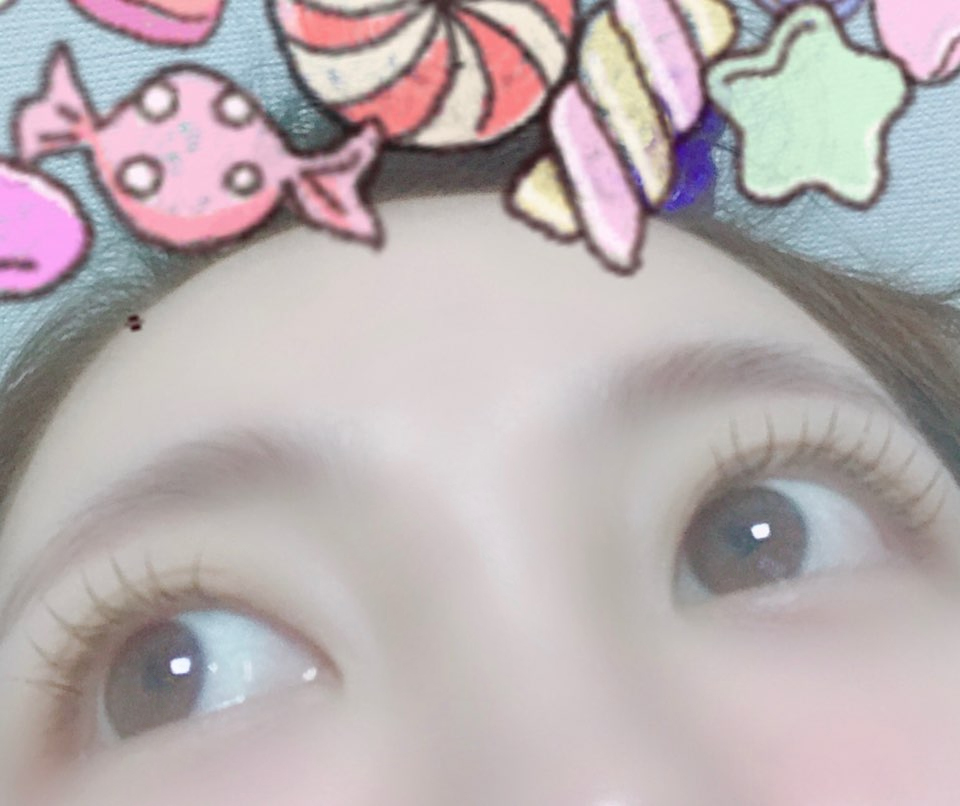 신디코리아 이미지
