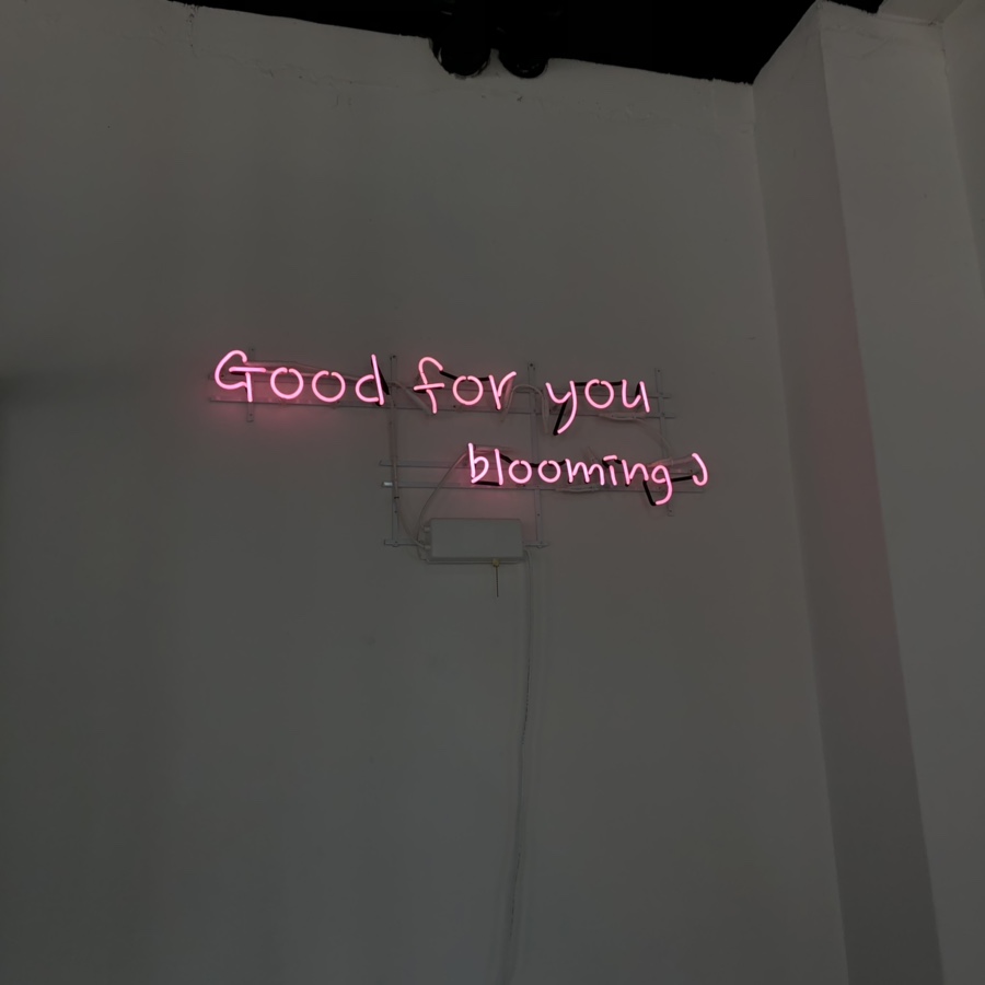 블루밍 제이(Blooming J) 이미지