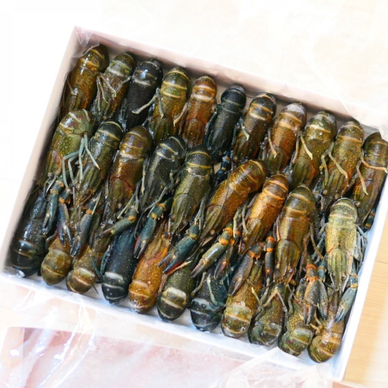 마라화나마라탕 이미지
