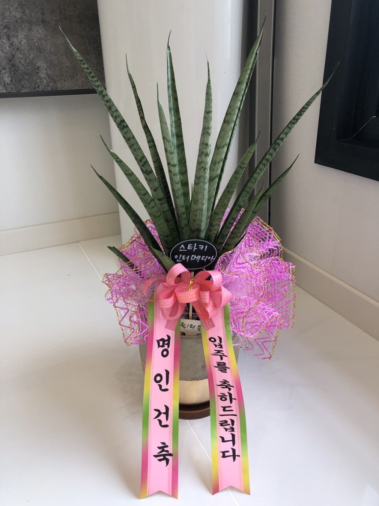 유니ENG 이미지