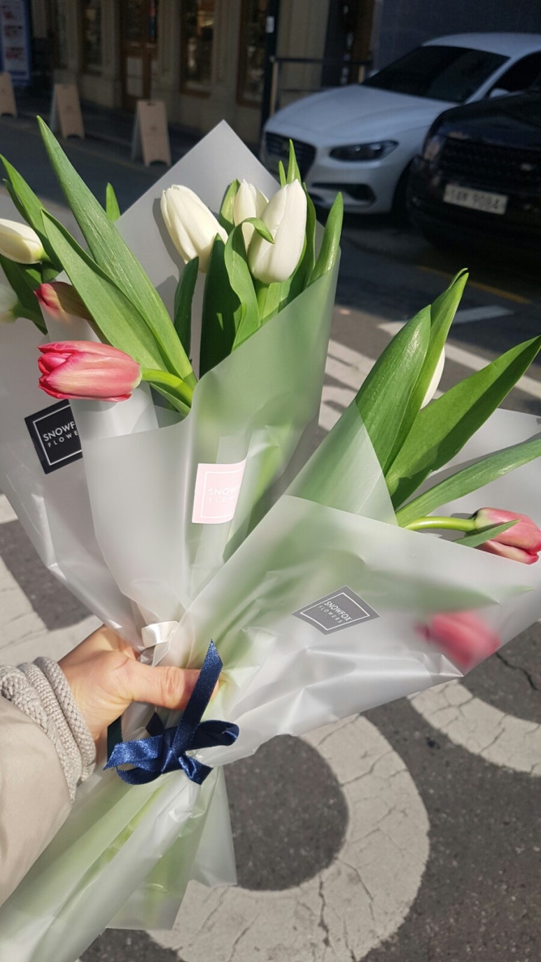 스노우폭스플라워 이미지