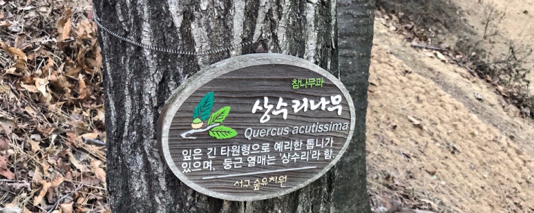 구덕산 유아숲체험원 이미지