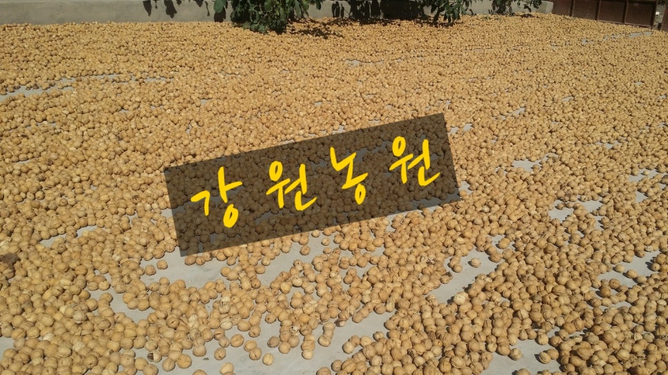 호두나무슈퍼 이미지
