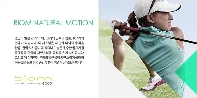 트루에코 이미지