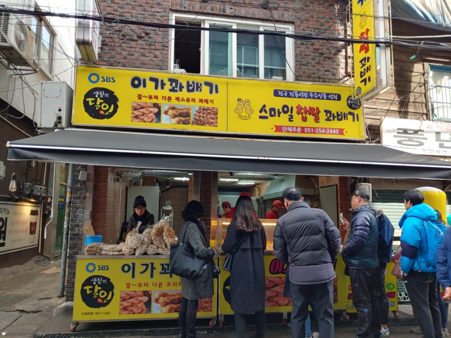 이가꽈배기 이미지