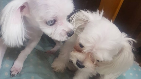 야미미용실 이미지