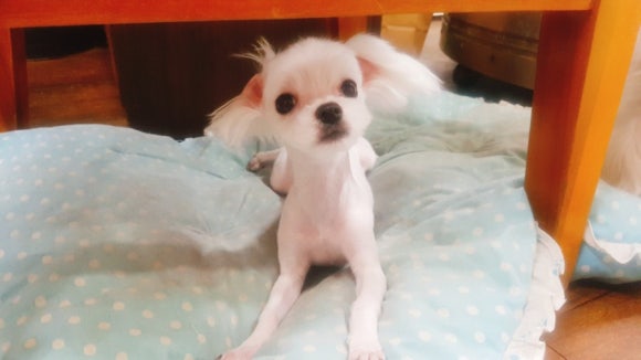 야미미용실 이미지