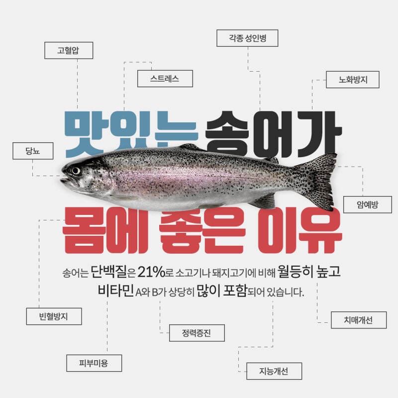 남한강물고기 이미지
