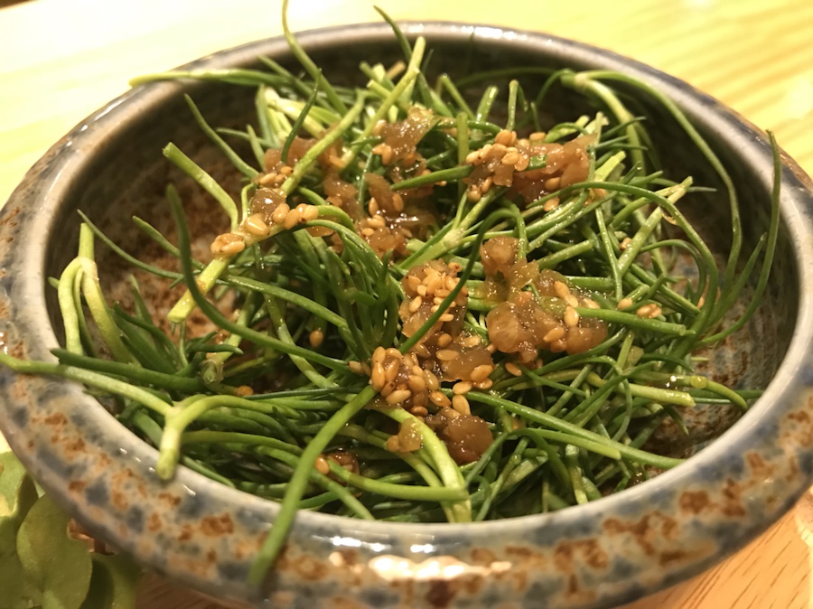 고치소우 이미지