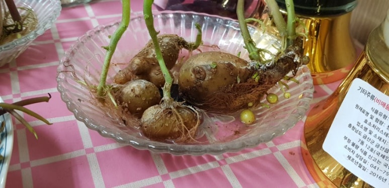 마리엔스 건강증진관 이미지
