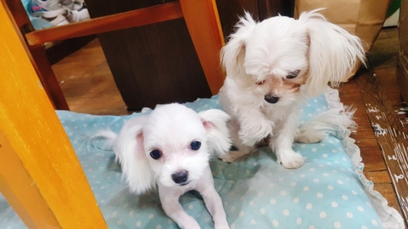 야미미용실 이미지