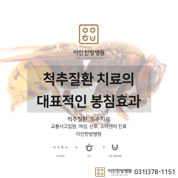 이안한방병원 이미지