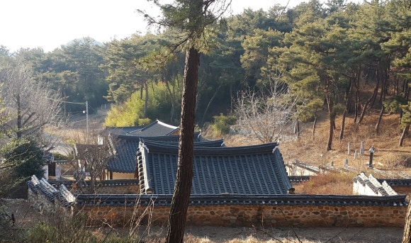 팔학산 유아숲체험원 이미지