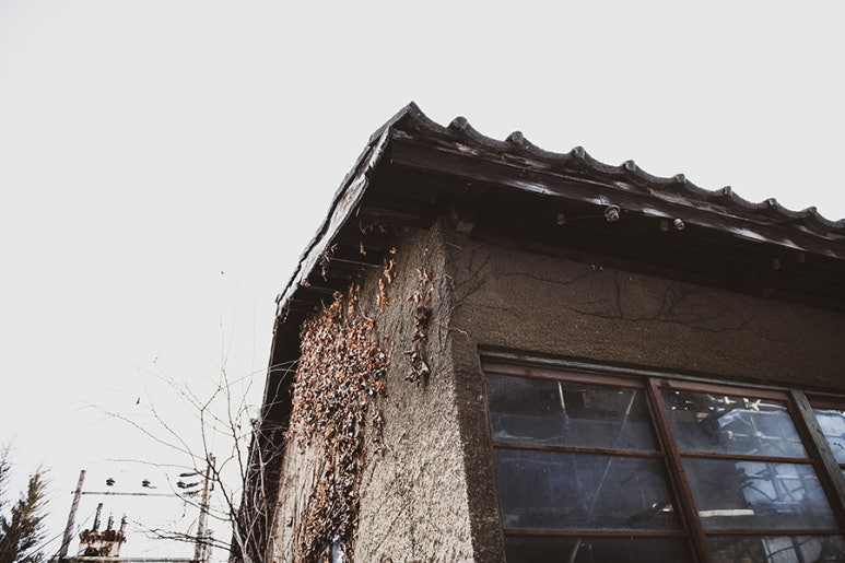 육남매필름 이미지