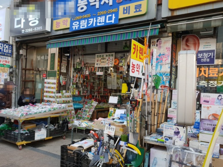 제일종묘사 이미지