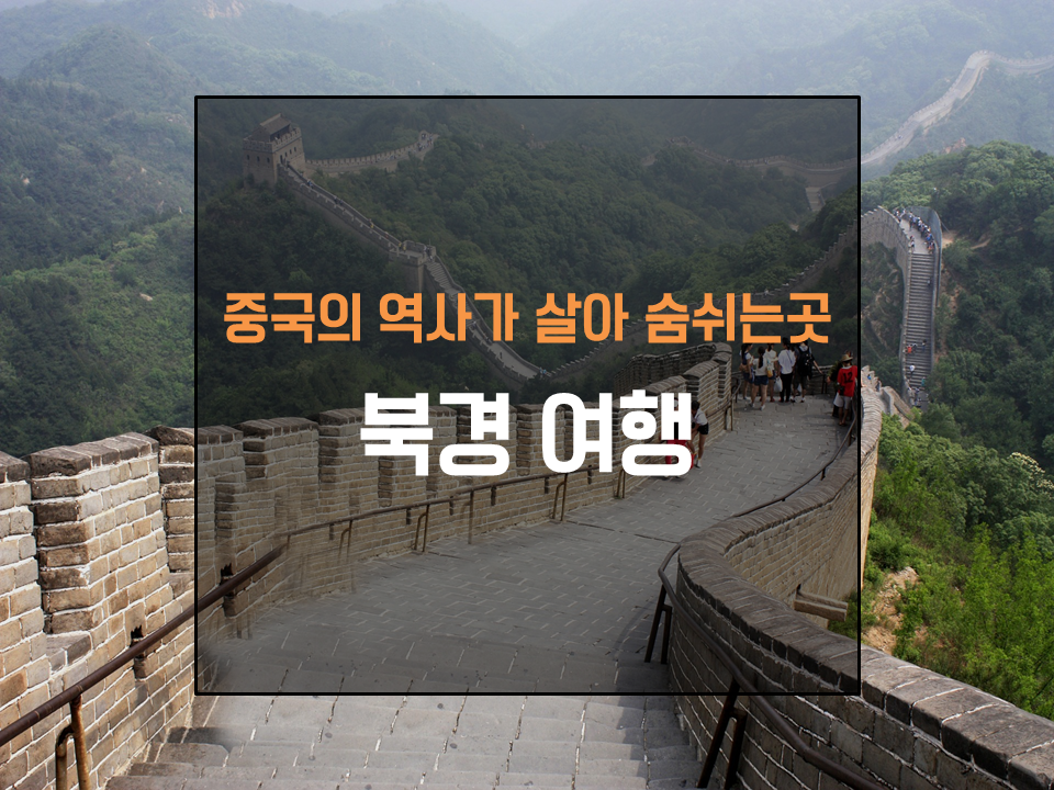 서라벌여행사 이미지