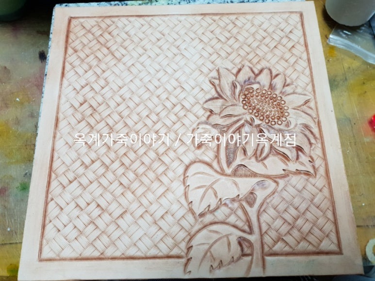 레더플러스 이미지