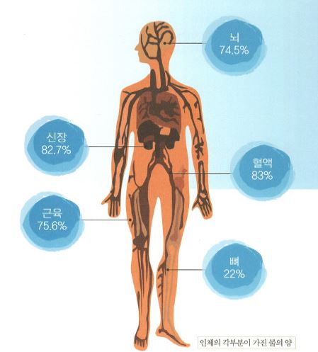 블루웰 이미지