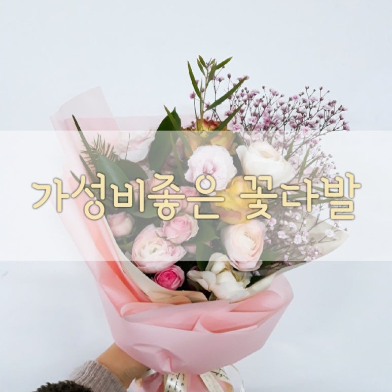 리나플라워 이미지