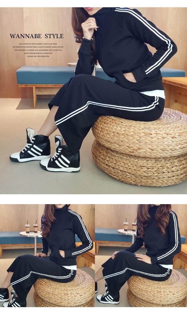 마젠타 이미지