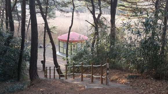 팔학산 유아숲체험원 이미지