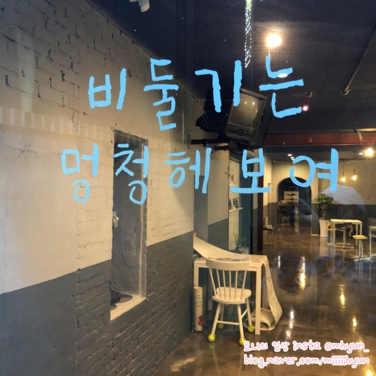 비둘기는멍청해보여 이미지