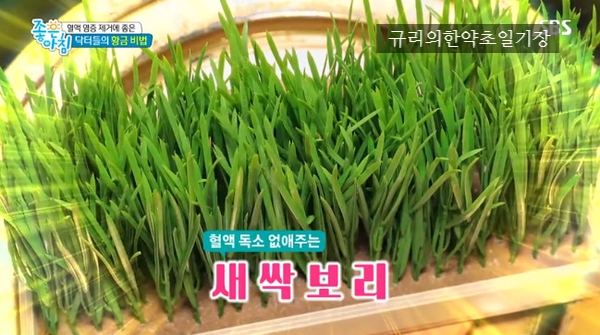 보리가득 이미지