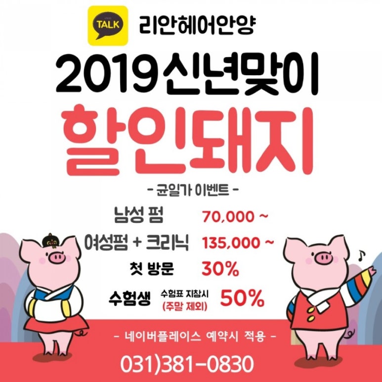 팜프헤어 이미지