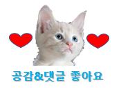 드림이즈 이미지