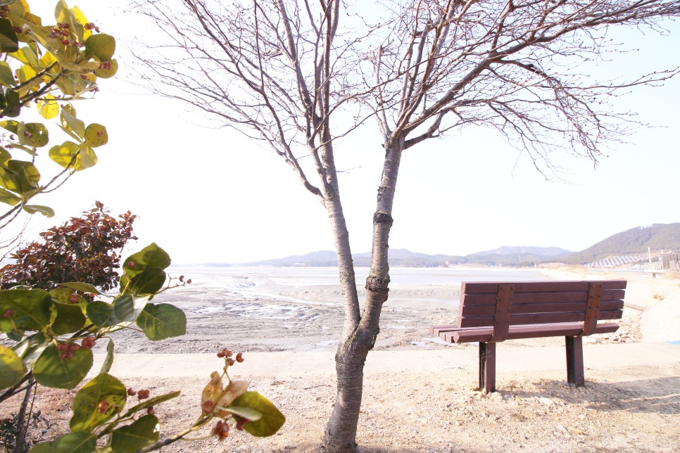 갯바람펜션 이미지
