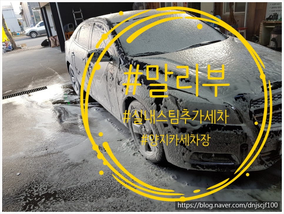 양지카세차장 이미지