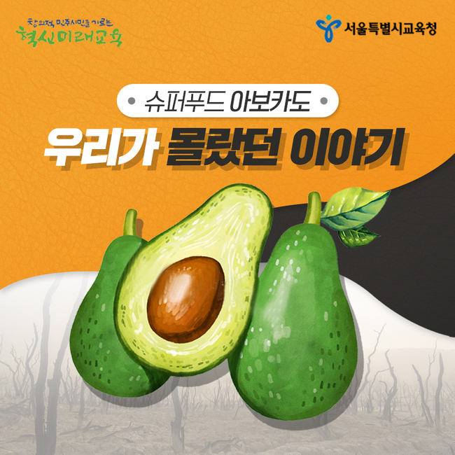슈퍼이야기 이미지