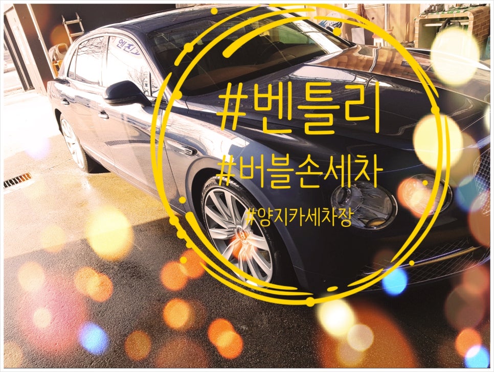 양지카세차장 이미지