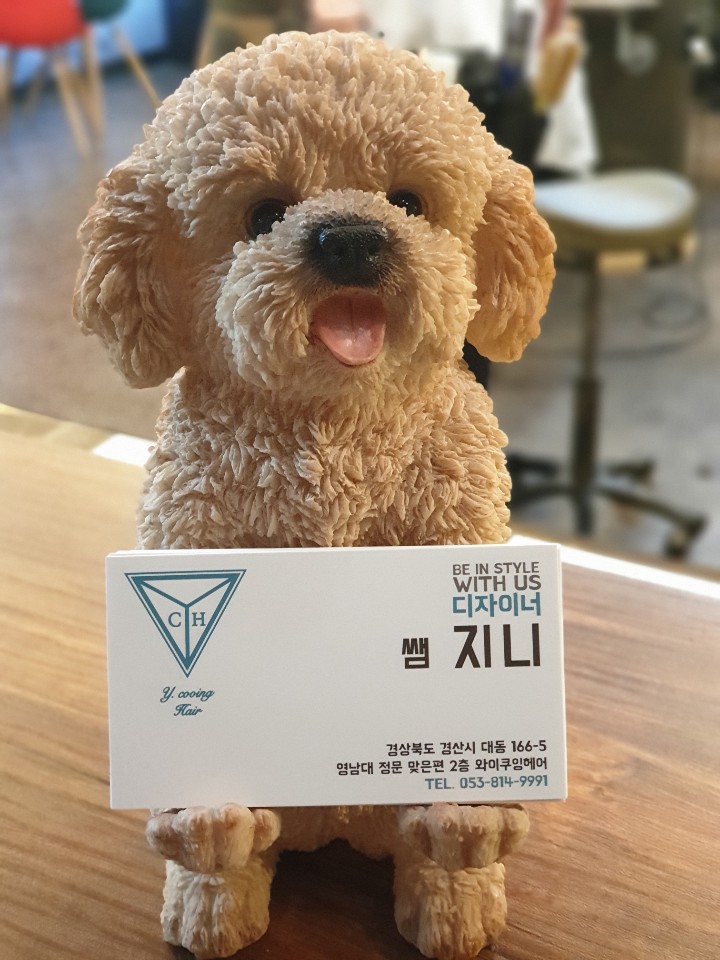 와이헤어 이미지
