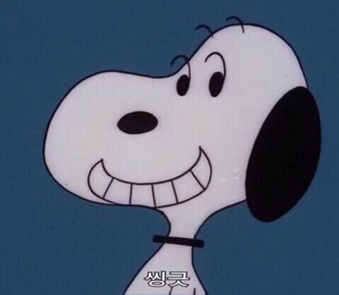 씽긋 이미지