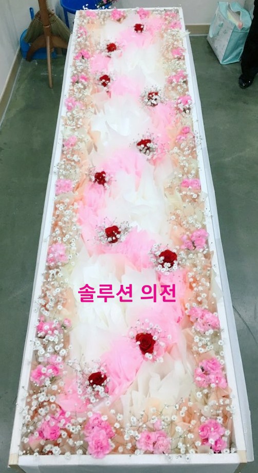 솔루션의전 이미지