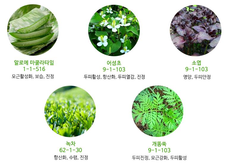 인에이드 이미지