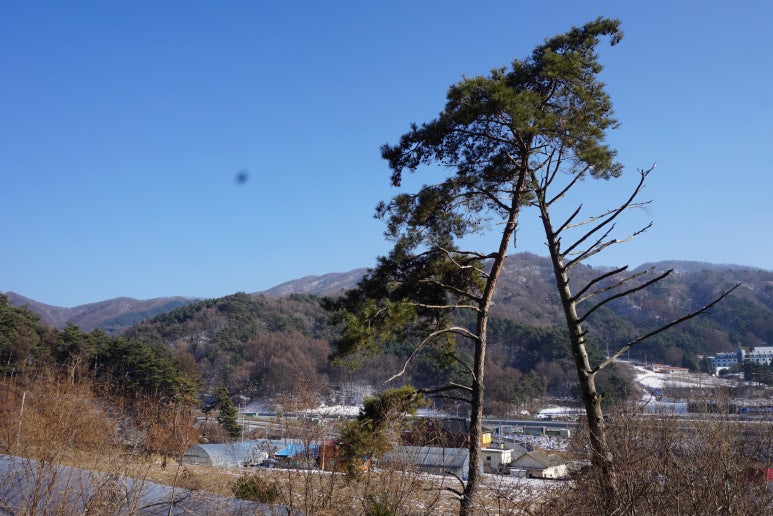 낙원사진관 이미지