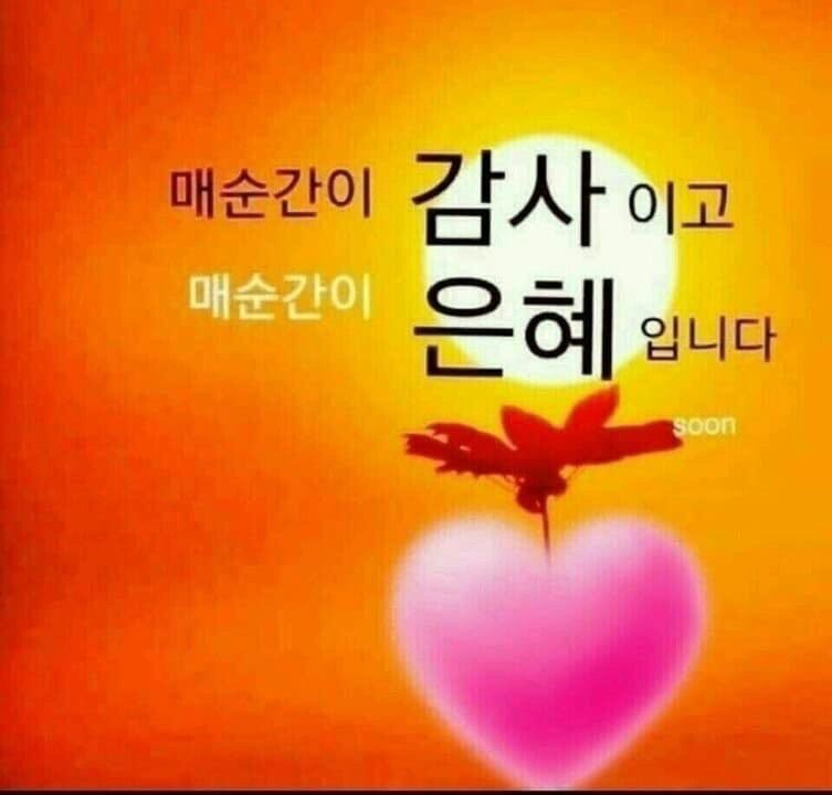 감사의 힘 이미지