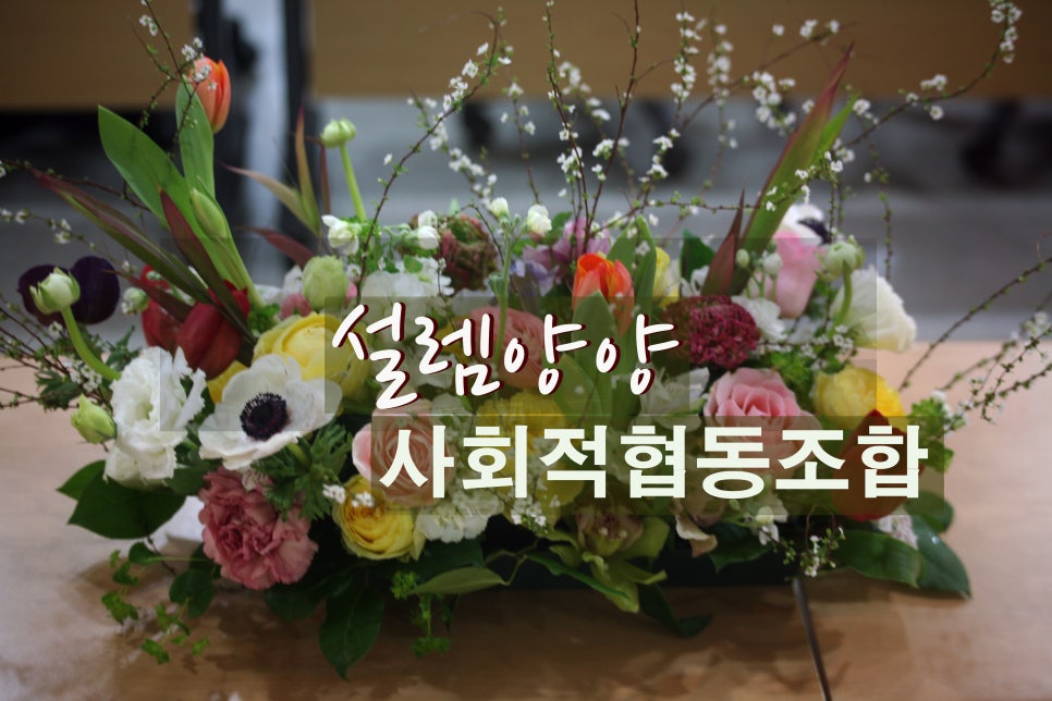 설렘양양사회적협동조합 이미지