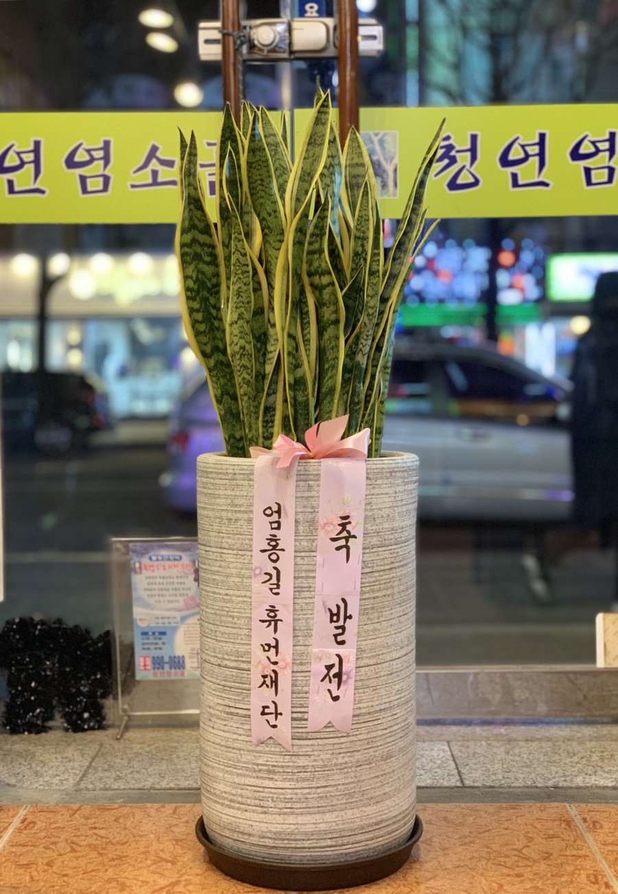 청연염소골 이미지
