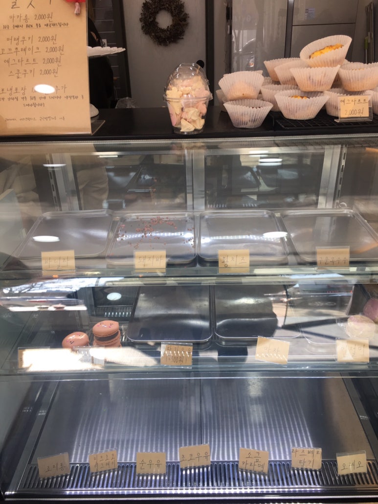 달맛디 이미지